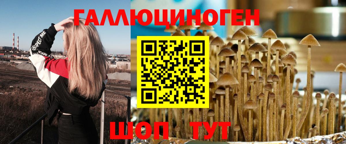 Галлюциногенные грибы Psilocybe  Вход с VPN  где можно купить   Гурьевск 